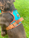Load image into Gallery viewer, AZURE LE BRONZE - TECHNICAL HARNESS DUO SET