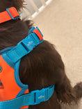 Load image into Gallery viewer, CITRUS AZURE - TECHNICAL HARNESS TRILOGY SET