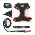 Load image into Gallery viewer, NOIR LE BRONZE - ADJUSTABLE HARNESS QUINTET SET