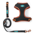 Load image into Gallery viewer, NOIR LE BRONZE - ADJUSTABLE HARNESS TRILOGY SET