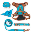 Load image into Gallery viewer, AZURE LE BRONZE - TECHNICAL HARNESS QUINTET SET