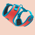 Load image into Gallery viewer, CITRUS AZURE ADJUSTABLE LUXURY HARNESS