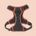 Load image into Gallery viewer, NOIR LE BRONZE - TECHNICAL HARNESS DUO SET