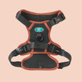 Load image into Gallery viewer, NOIR LE BRONZE - TECHNICAL HARNESS DUO SET