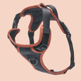 Load image into Gallery viewer, NOIR LE BRONZE - TECHNICAL HARNESS DUO SET