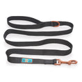 Load image into Gallery viewer, NOIR LE BRONZE - COLLAR & LEAD DUO