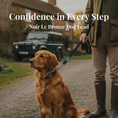 Load image into Gallery viewer, NOIR LE BRONZE DOG LEAD