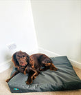 Load image into Gallery viewer, PET BEDS | PURR & PAWS WATERPROOF DOG BEDS