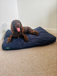 Load image into Gallery viewer, PET BEDS | PURR & PAWS WATERPROOF DOG BEDS