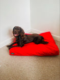 Load image into Gallery viewer, PET BEDS | PURR & PAWS WATERPROOF DOG BEDS