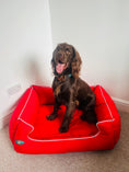 Load image into Gallery viewer, PET BEDS | PURR & PAWS LUXURY DOG BED MEMORY FOAM WATERPROOF DOG SETTEE