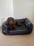Load image into Gallery viewer, PET BEDS | PURR & PAWS LUXURY DOG BED MEMORY FOAM WATERPROOF DOG SETTEE