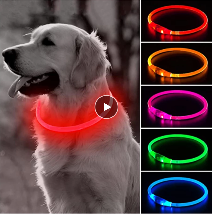 LED Collar for Dogs & Cats