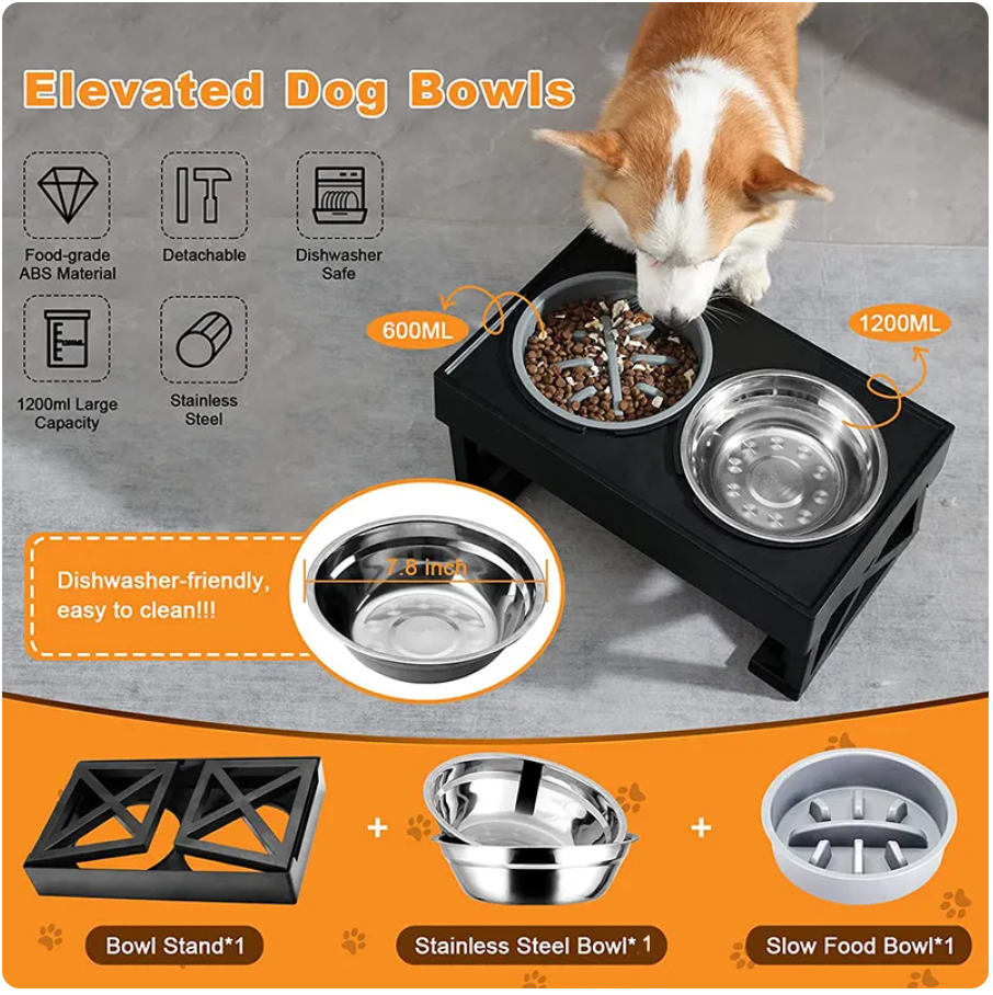 Elevated Dog Bowl