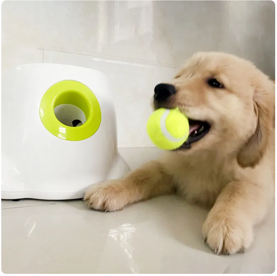 Ball Launcher Dog Toy