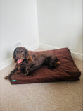 Load image into Gallery viewer, PET BEDS | PURR & PAWS WATERPROOF DOG BEDS