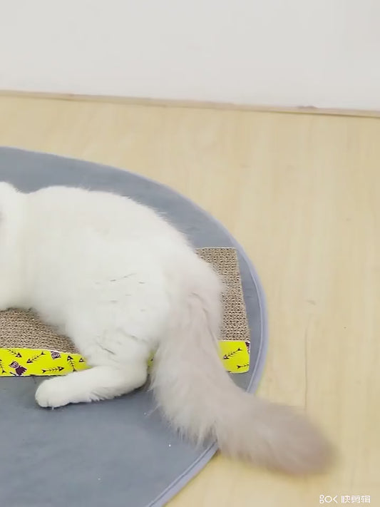 Cat Scratching Pad