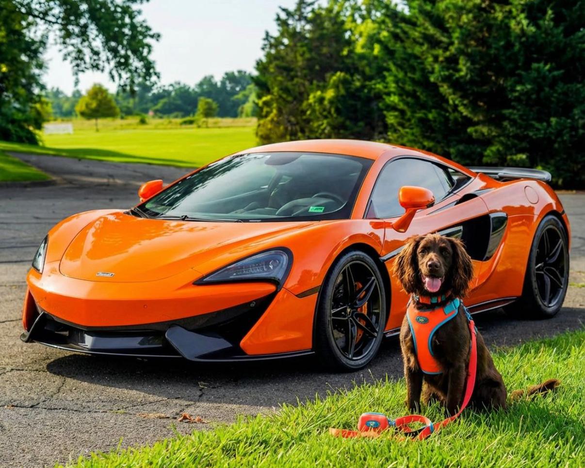 Citrus Azure: Bold in Design, Crafted to Stand Out, Defined by Style