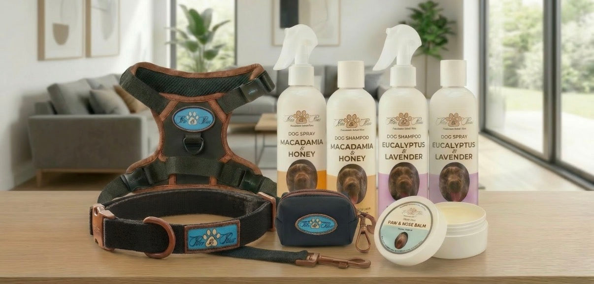The Purr & Paws Way - Comfort, Control & Care