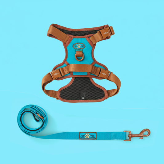 AZURE LE BRONZE - TECHNICAL HARNESS DUO SET