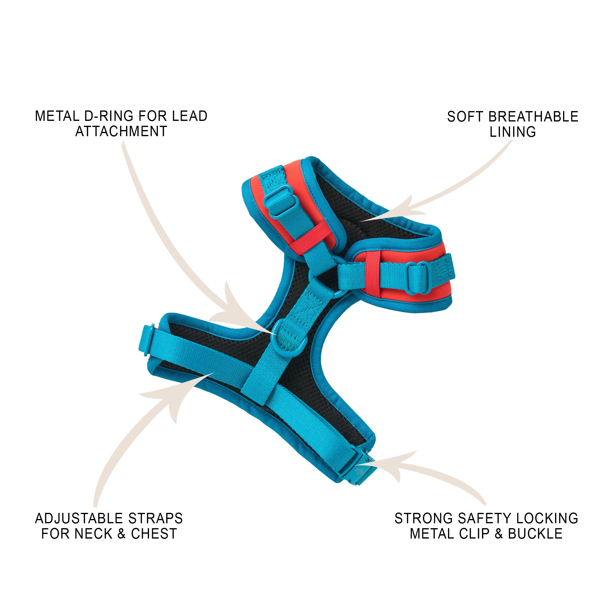 CITRUS AZURE - ADJUSTABLE HARNESS QUARTET SET
