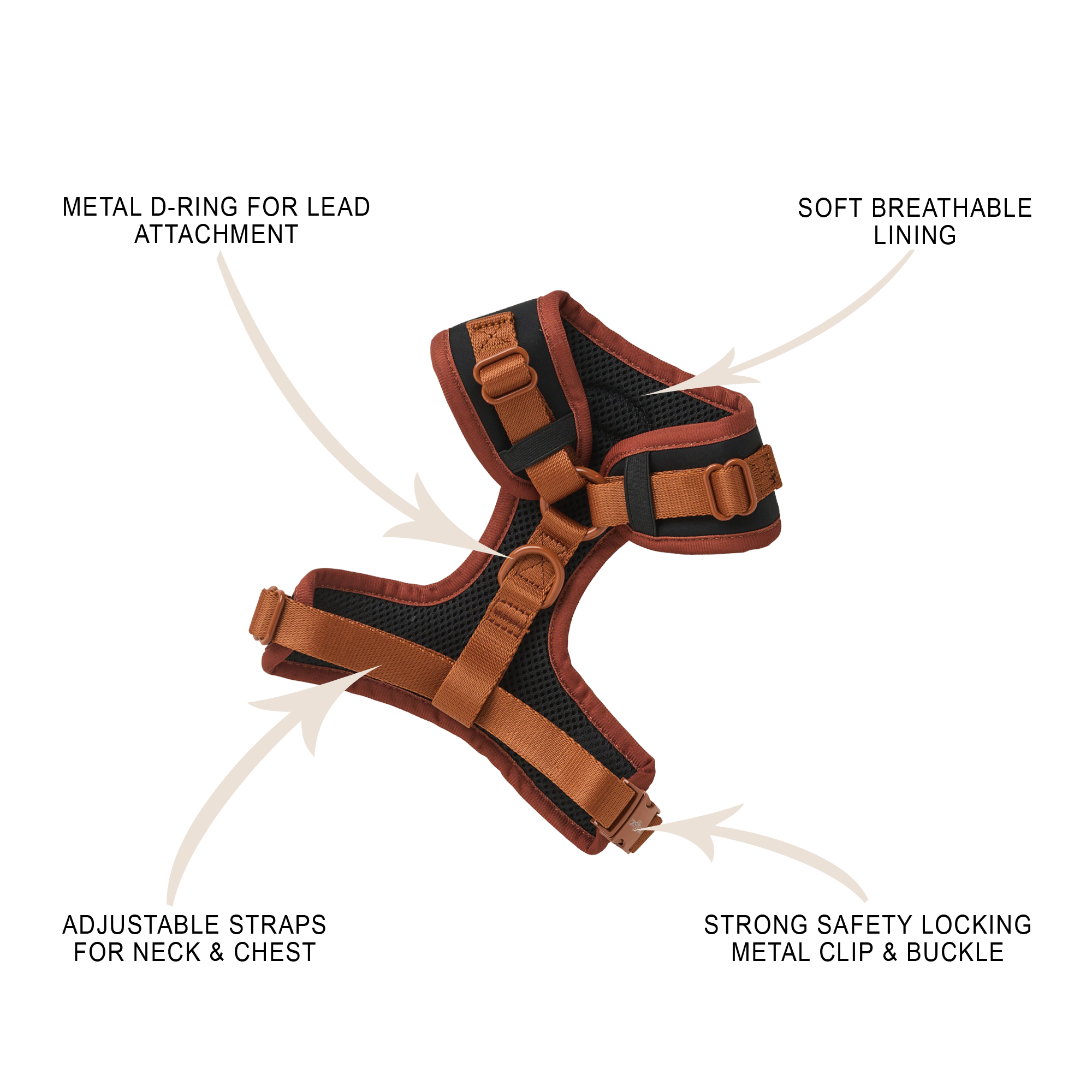 Gift Box - NOIR LE BRONZE QUINTET 5 PACK SET Adjustable Harness