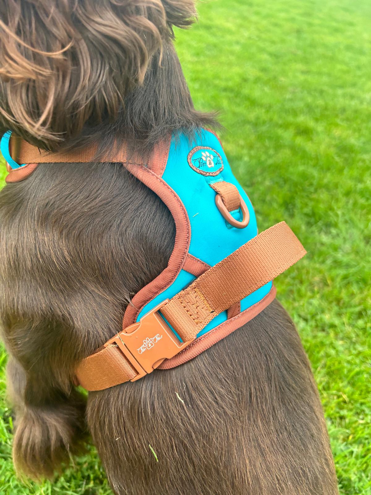 AZURE LE BRONZE - TECHNICAL HARNESS DUO SET