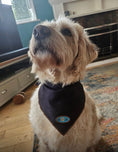 Load image into Gallery viewer, NOIR LE BRONZE COOLING BANDANNA

