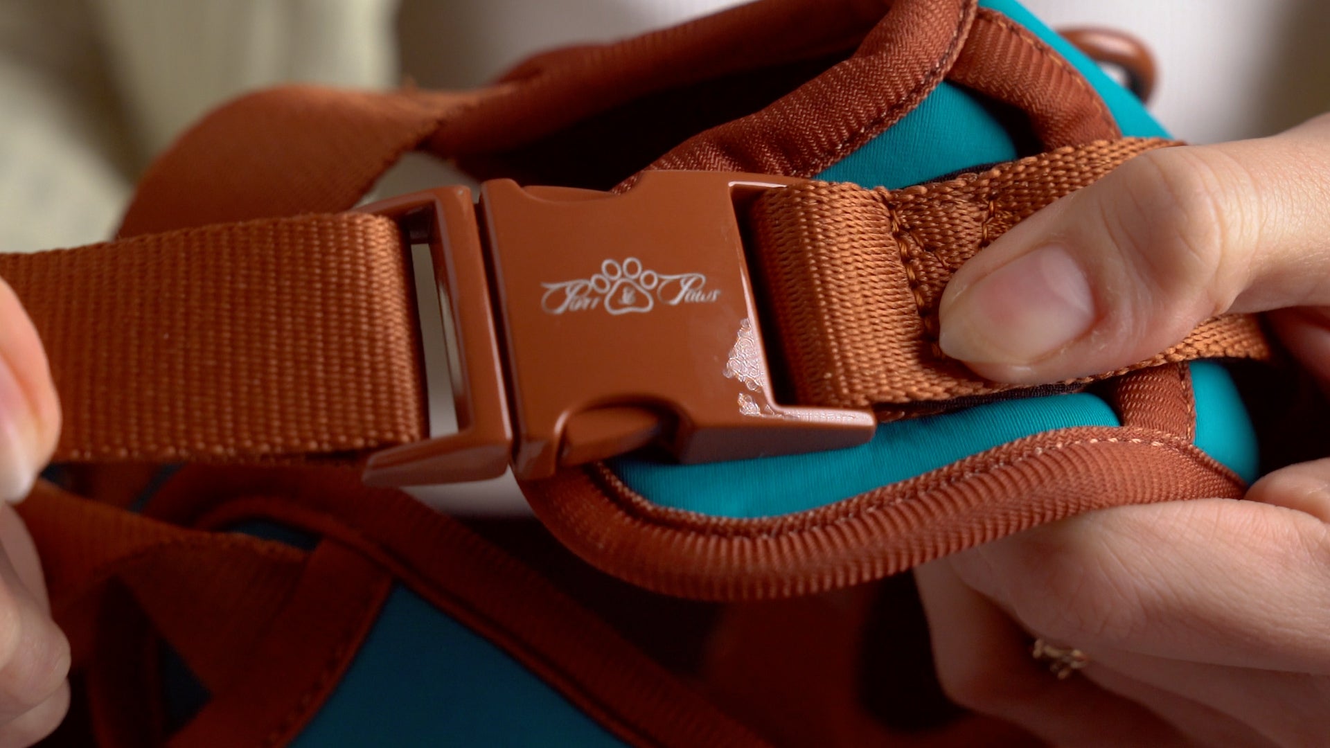 AZURE LE BRONZE - TECHNICAL HARNESS DUO SET