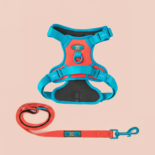 CITRUS AZURE - TECHNICAL HARNESS DUO SET