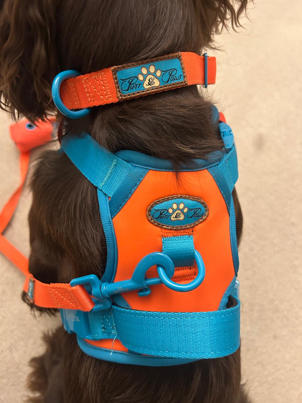 CITRUS AZURE - TECHNICAL HARNESS TRILOGY SET
