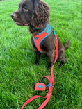 Load image into Gallery viewer, CITRUS AZURE ADJUSTABLE LUXURY HARNESS
