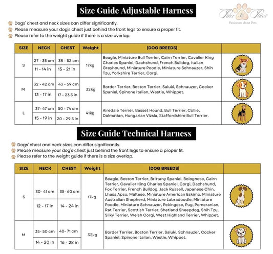 AZURE LE BRONZE - ADJUSTABLE HARNESS DUO SET
