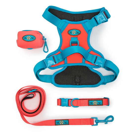 CITRUS AZURE - TECHNICAL HARNESS QUARTET SET