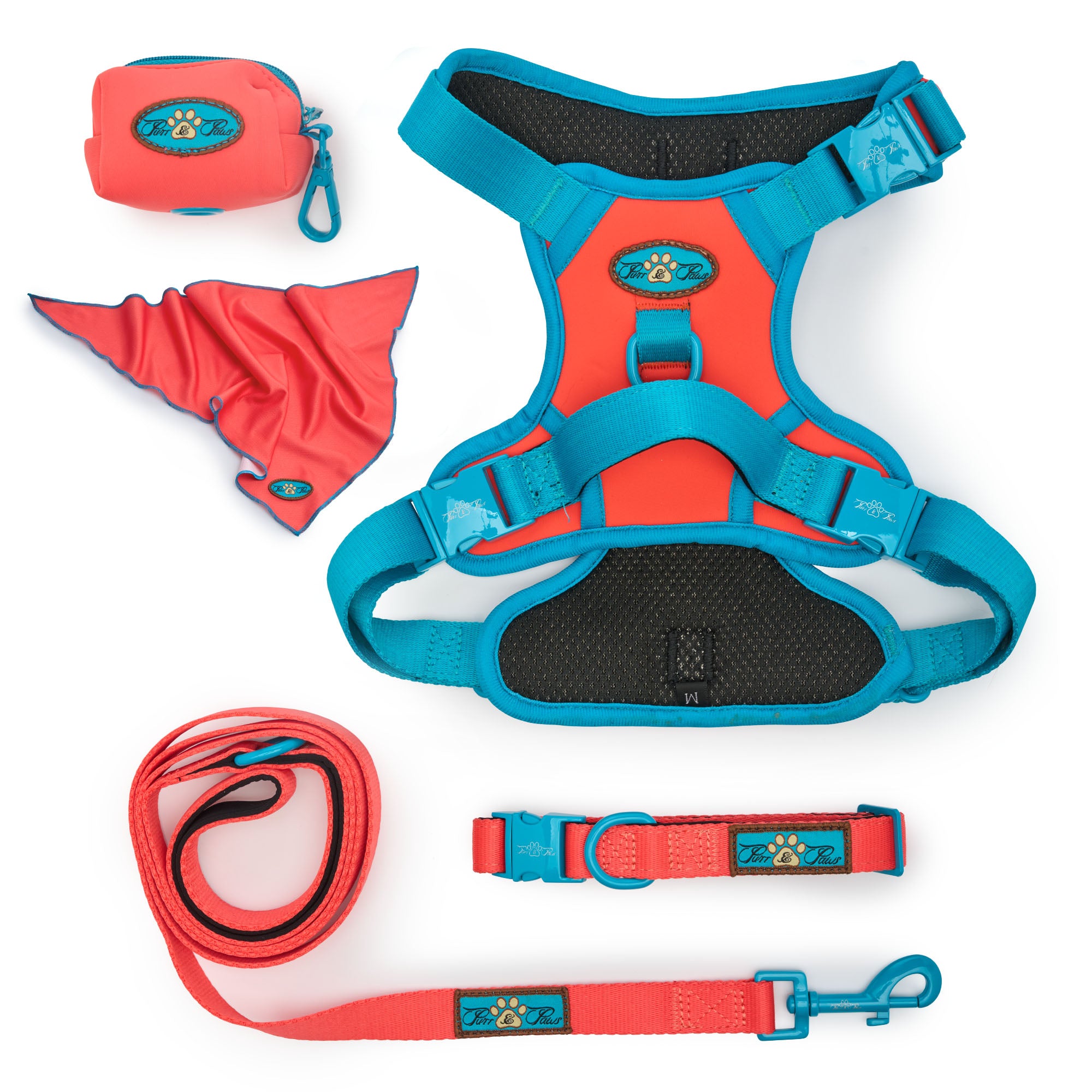 Gift Box - CITRUS AZURE PAWFECT 5 PACK SET TECHNICAL HARNESS