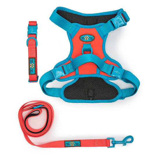 CITRUS AZURE - TECHNICAL HARNESS TRILOGY SET