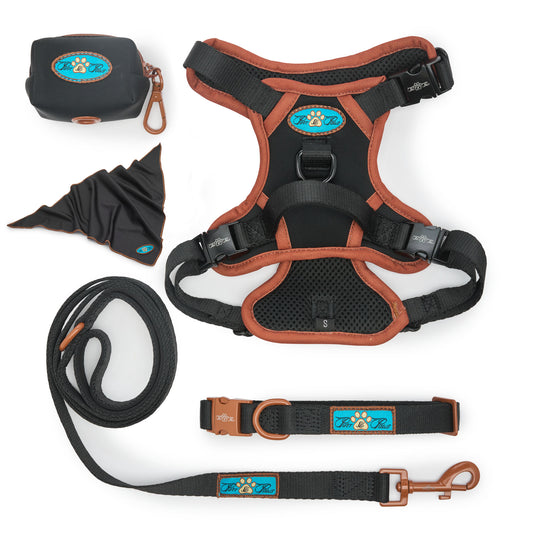 NOIR LE BRONZE - TECHNICAL HARNESS QUINTET SET