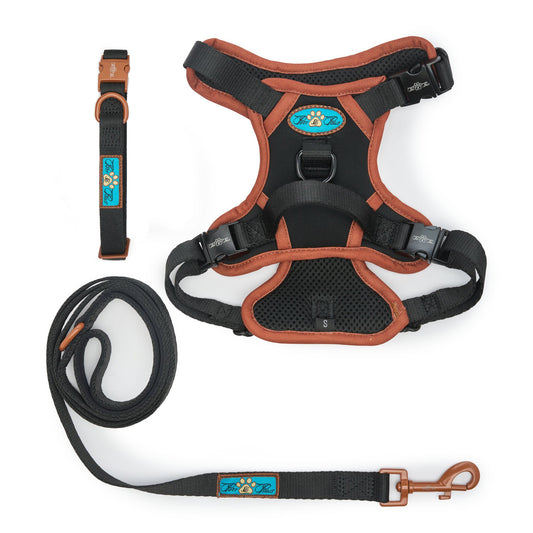 NOIR LE BRONZE - TECHNICAL HARNESS TRILOGY SET