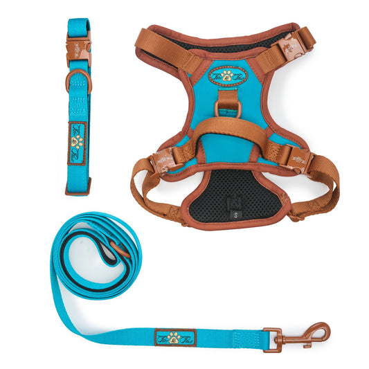 AZURE LE BRONZE - TECHNICAL HARNESS TRILOGY SET