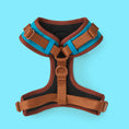 Load image into Gallery viewer, AZURE LE BRONZE ADJUSTABLE LUXURY HARNESS
