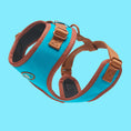 Load image into Gallery viewer, AZURE LE BRONZE ADJUSTABLE LUXURY HARNESS
