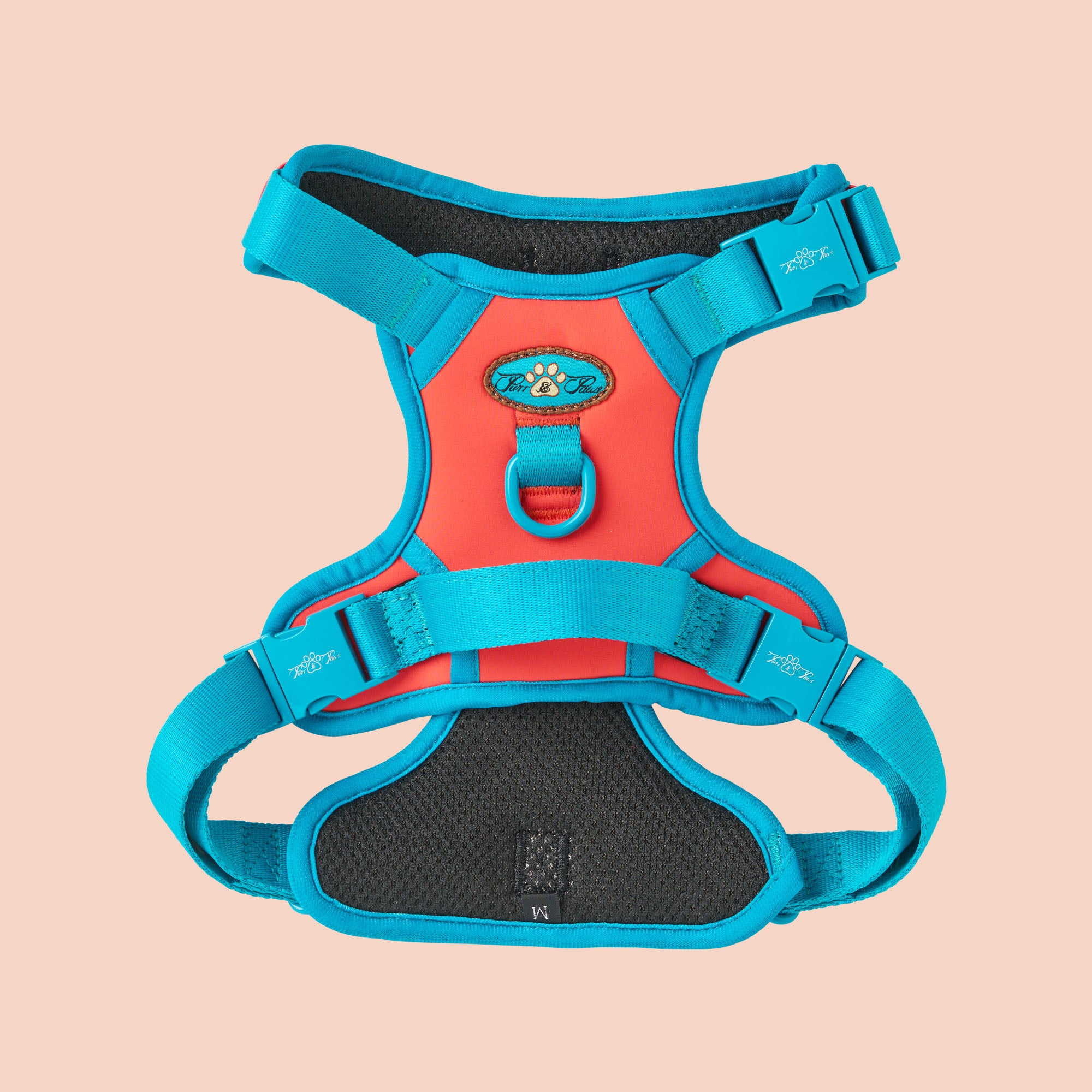 CITRUS AZURE TECHNICAL HARNESS