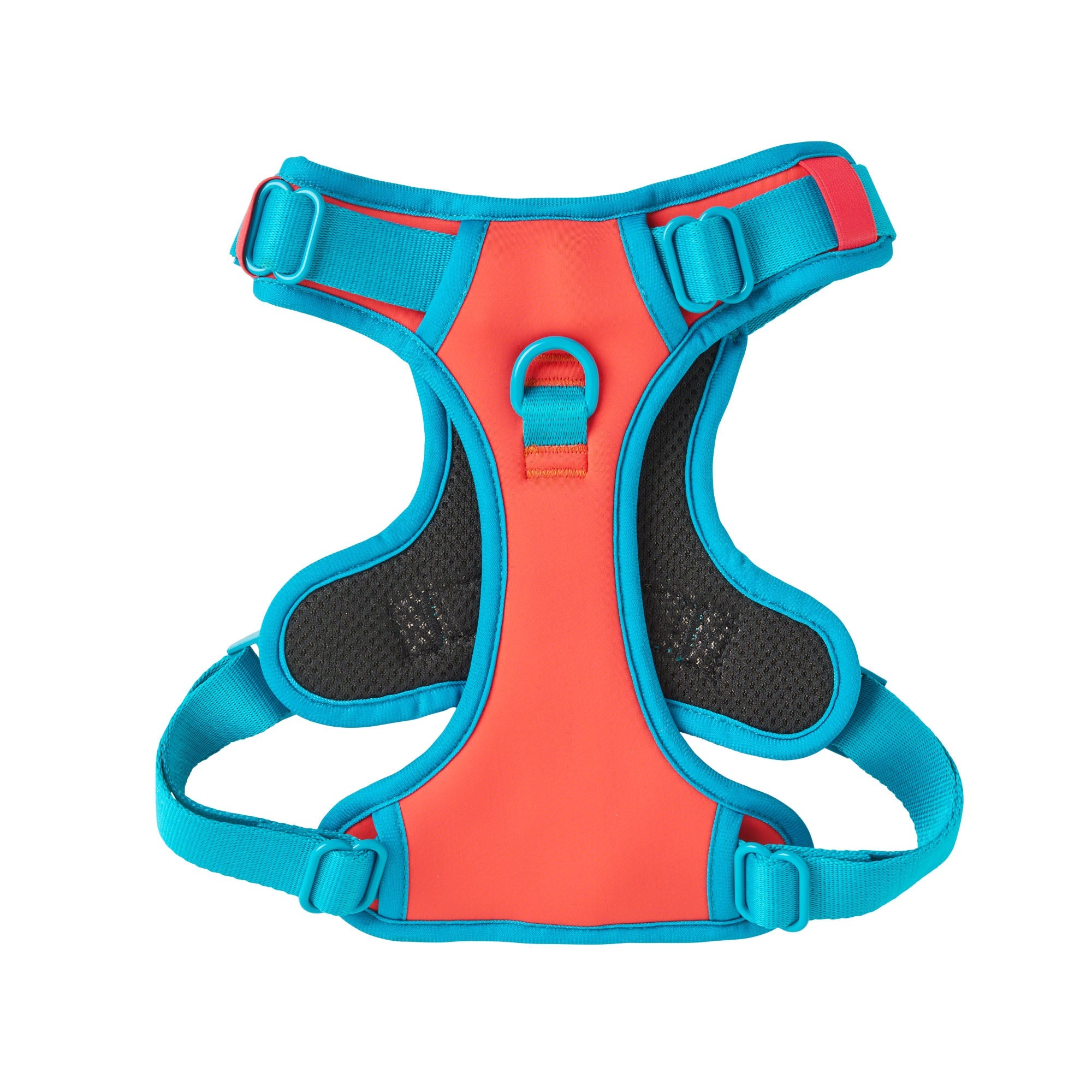 CITRUS AZURE TECHNICAL HARNESS