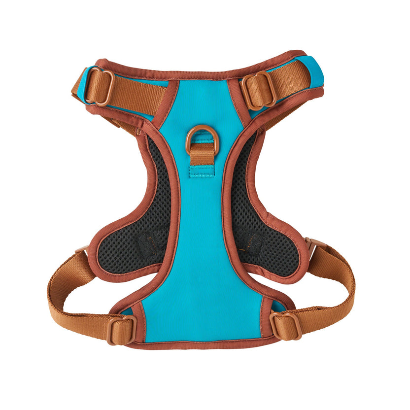 luxury dog harness