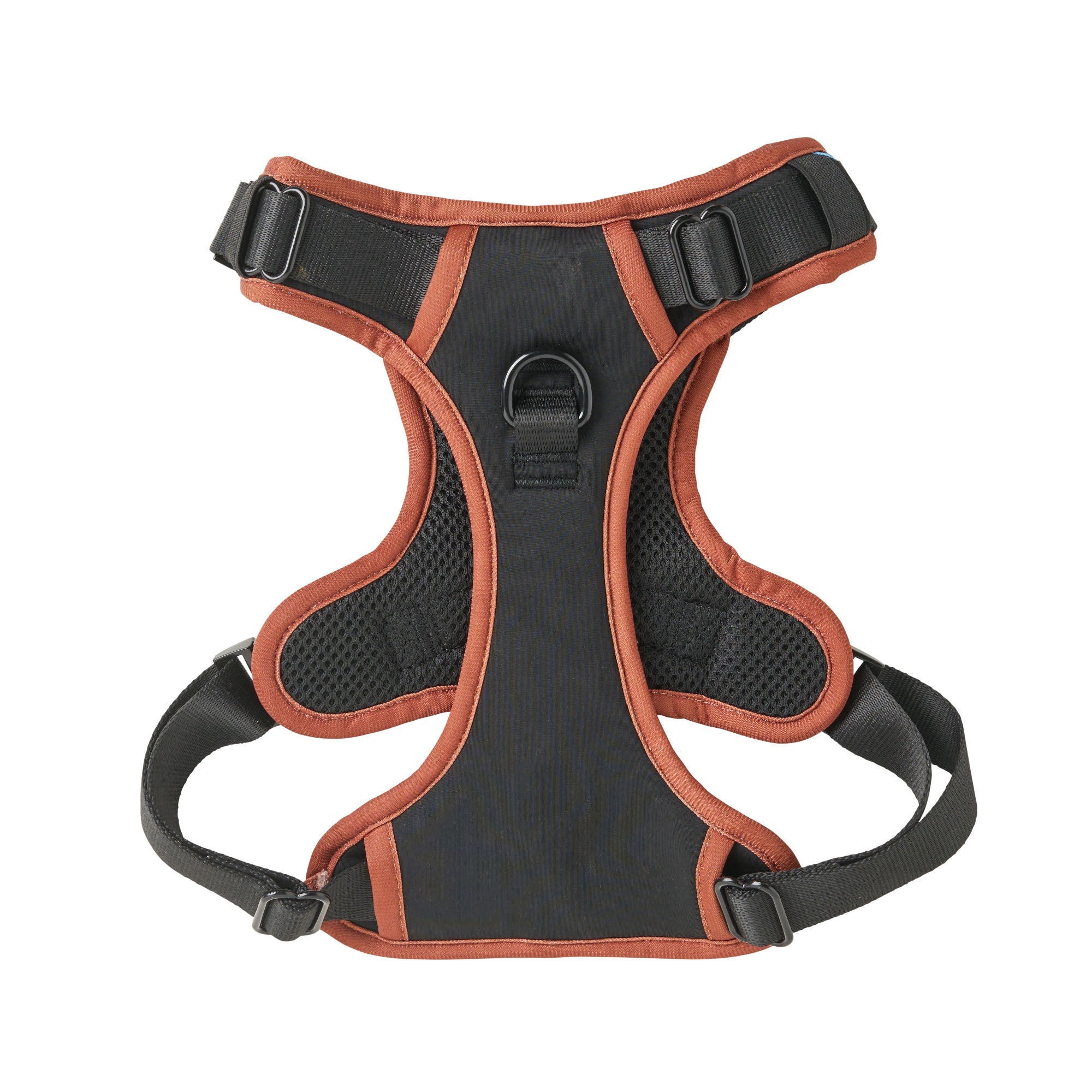 NOIR LE BRONZE TECHNICAL HARNESS