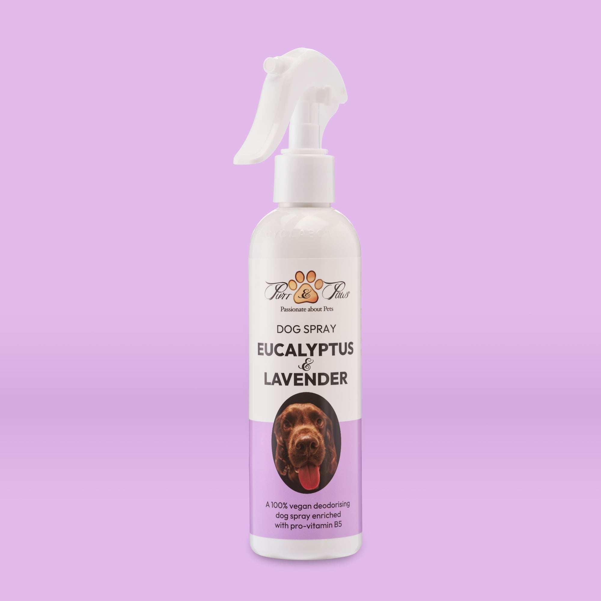 DEODORISING DOG SPRAY | EUCALYPTUS & LAVENDER