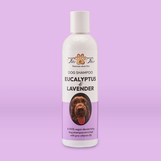DOG SHAMPOO | EUCALYPTUS & LAVENDER