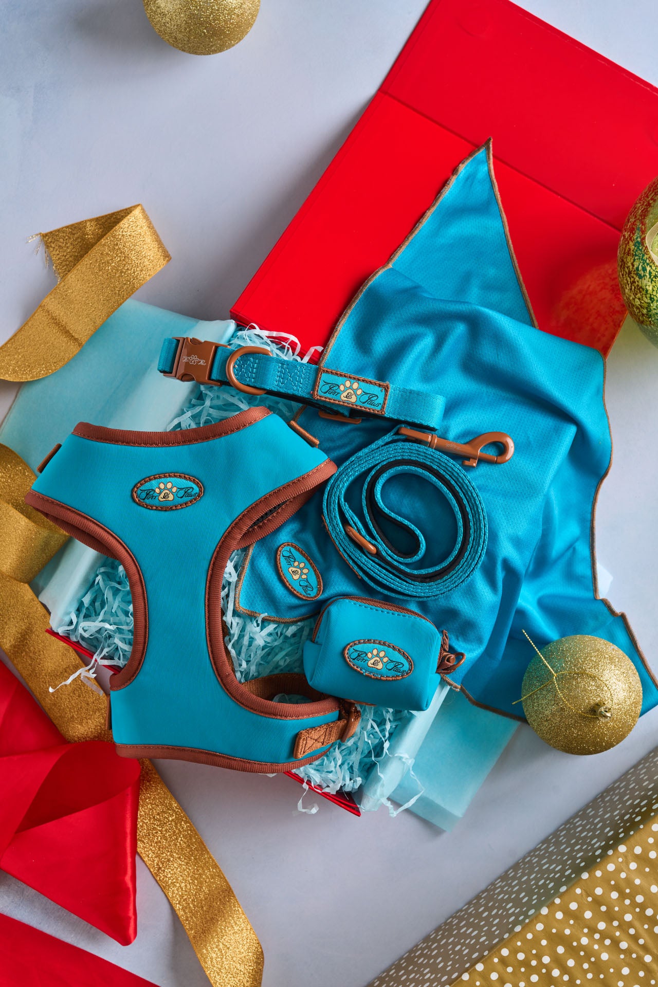 Gift Box - AZURE LE BRONZE QUINTET 5 PACK SET ADJUSTABLE HARNESS