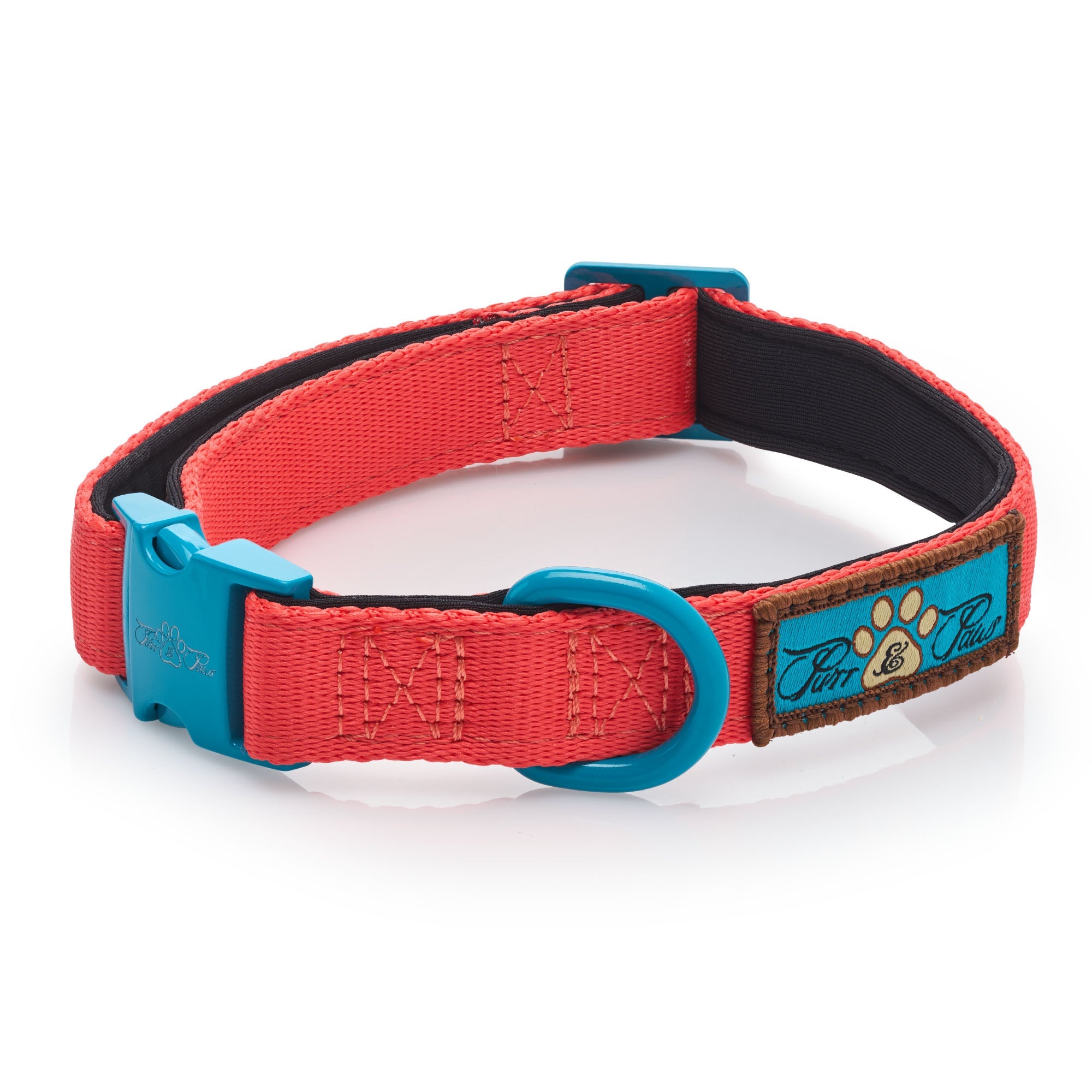 CITRUS AZURE LUXURY PADDED PRINTED COLLAR