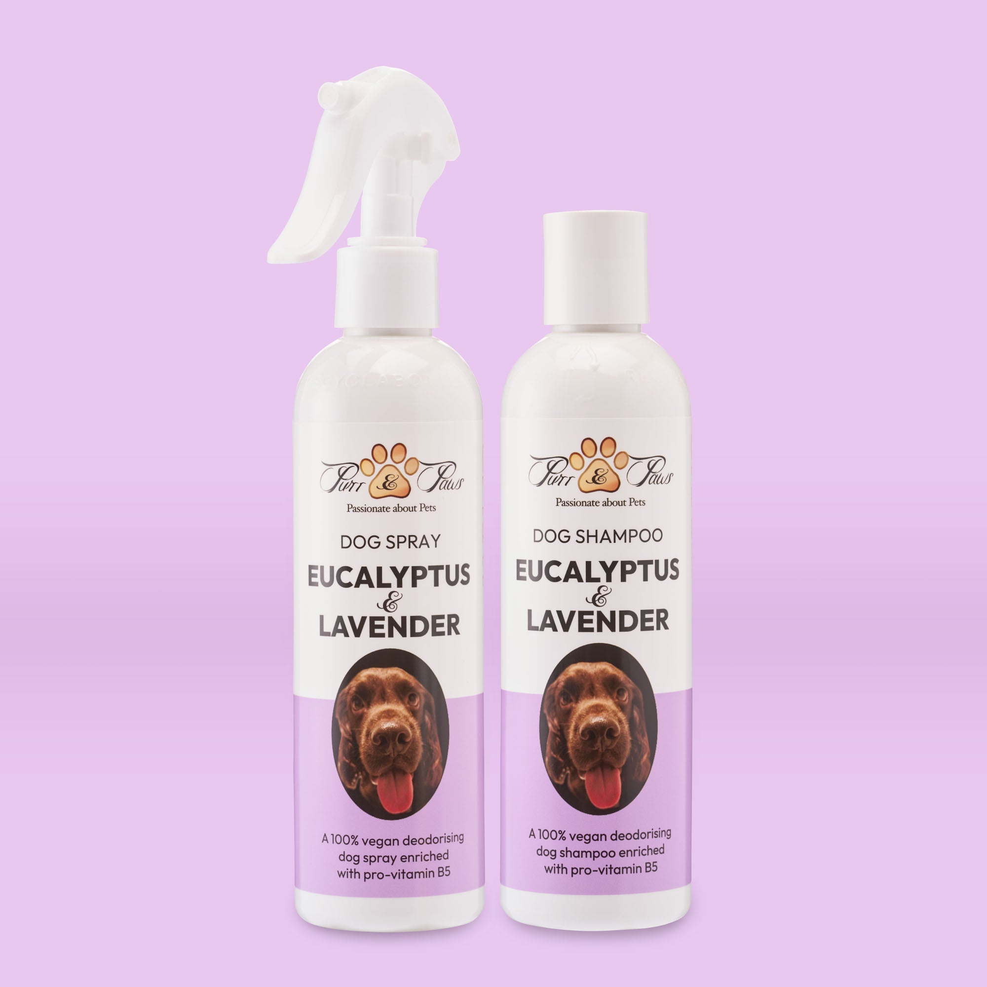 Eucalyptus & Lavender Bliss Duo